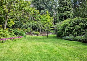 Optimiser l'expérience du jardin à Vecqueville